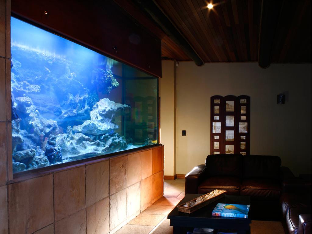 A La Martha'S Air-Port Guest House พอร์ตเอลิซาเบธ ภายนอก รูปภาพ